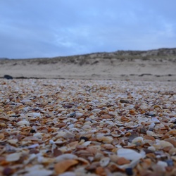 2016-12-10 Bordeaux/Cap Ferret/DSC_0285.JPG